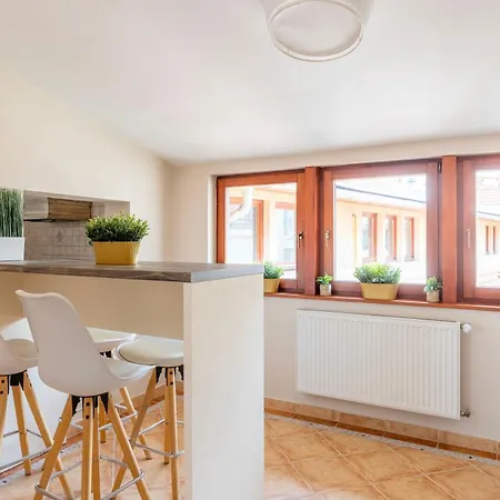 Apartament Beardy Bear Cave - Premium Rooftop #parking *