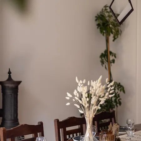 Beardy Bear Cave - Premium Rooftop #parking Budapeszt