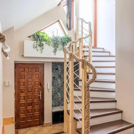 Beardy Bear Cave - Premium Rooftop #parking *